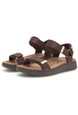 Woden Woden Line Fish - Chocolate