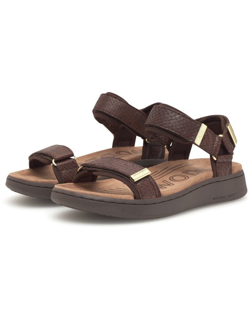 Woden Woden Line Fish - Chocolate