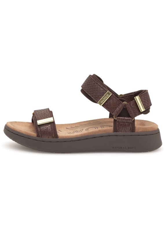 Woden Woden Line Fish - Chocolate