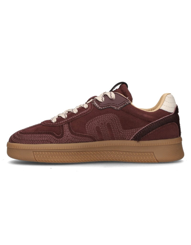 Maruti Maruti Yale Embroidery - Bordo