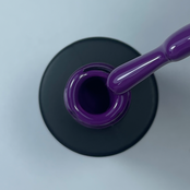 HNC Gelpolish #123 Plum Passion (10ml)