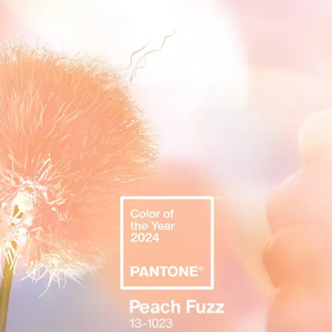 Peach Fuzz - Color of the Year 2024