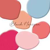 HNC Blush Horizon  Gelpolish Collection (6x10ml)