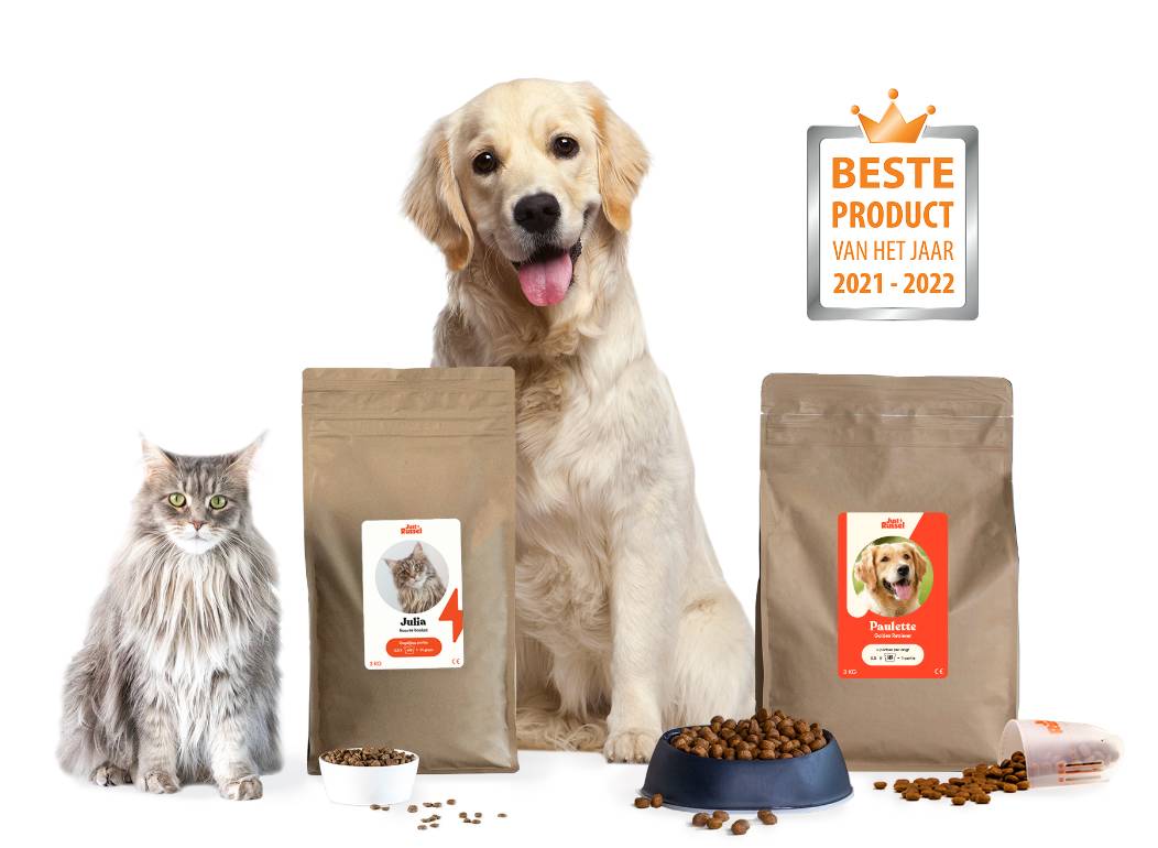 Banner 1 (large) title