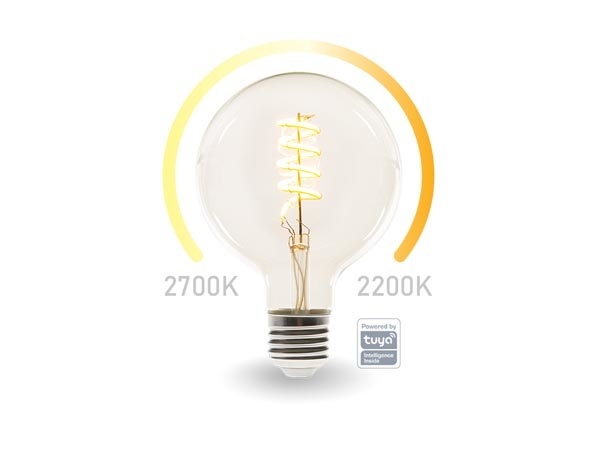 Ampoule LED Perel Smart Wifi - Blanc chaud & Blanc chaud intense - E27 - G125