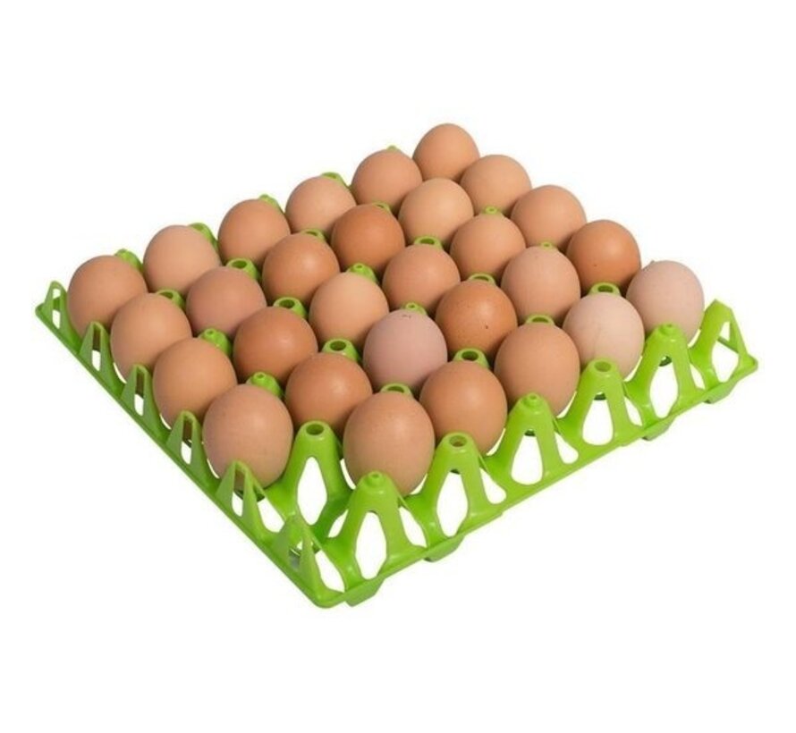 Porte-œufs pour 30 œufs