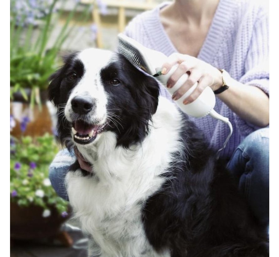 Sèche-cheveux et brosse pour chien - brosse en acier inoxydable - Animaux de compagnie - Sèche-cheveux pour chien 2 en 1