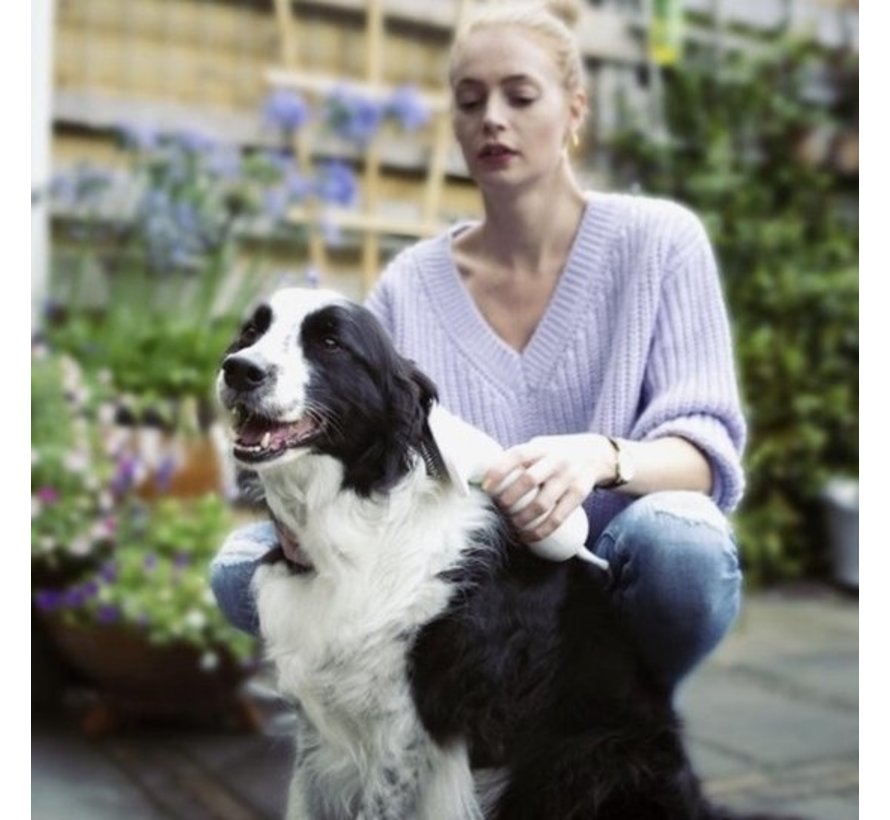 Sèche-cheveux et brosse pour chien - brosse en acier inoxydable - Animaux de compagnie - Sèche-cheveux pour chien 2 en 1