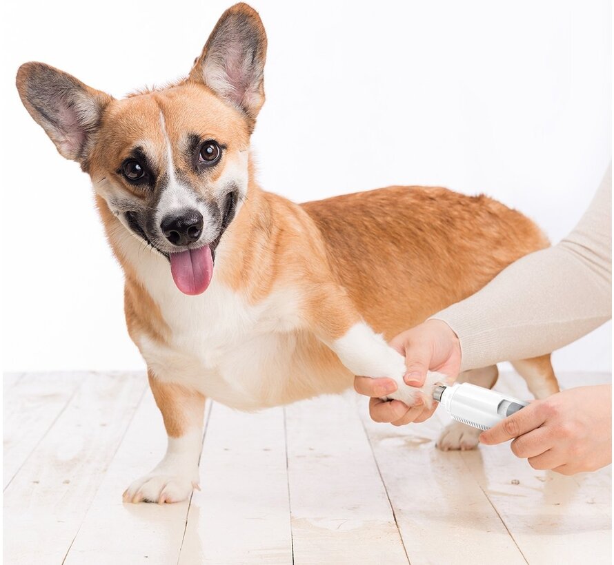 Auronic lime à ongles électrique - pour animaux - rechargeable - sans fil - tête de lime en diamant - chiens/chats - blanc