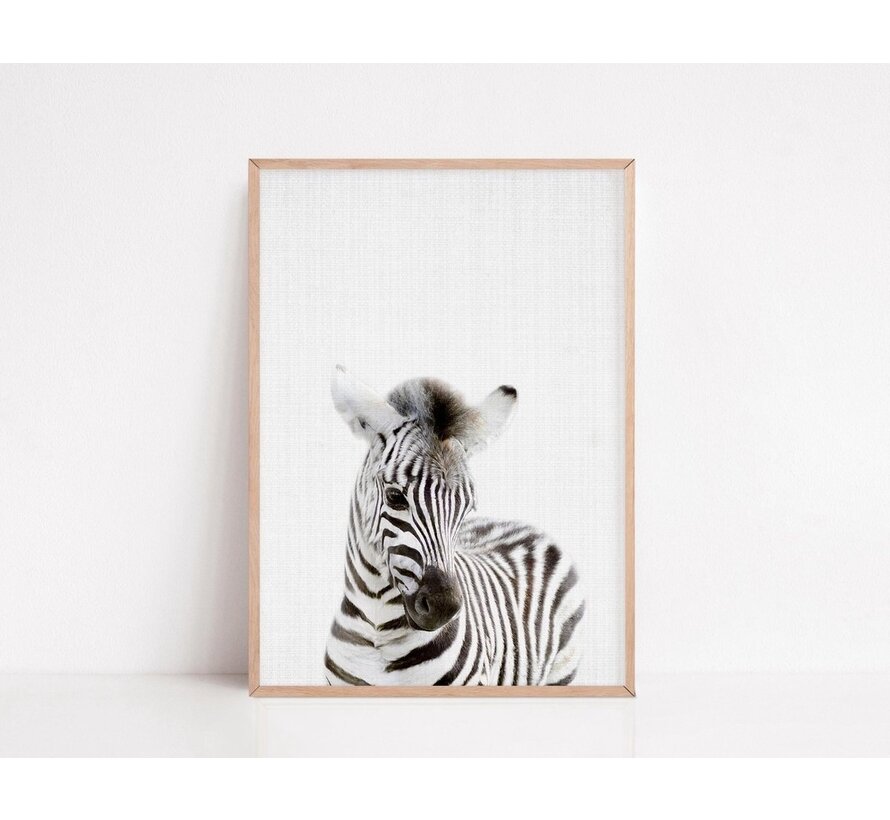 Affiches d'annimaux pour la chambre d'enfant - Generic - 6 Affiches - 21x30 cm - Papier robuste - Safari