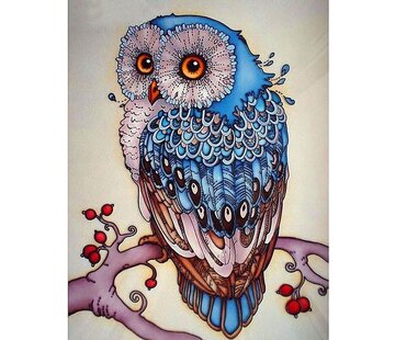 Generic Peinture Diamantée - Hibou - 25 x 30 cm