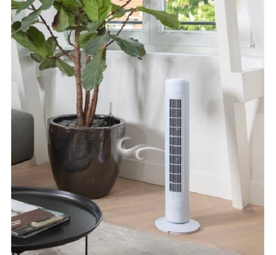 Excellent Electrics - Ventilateur de tour - 73cm - Blanc