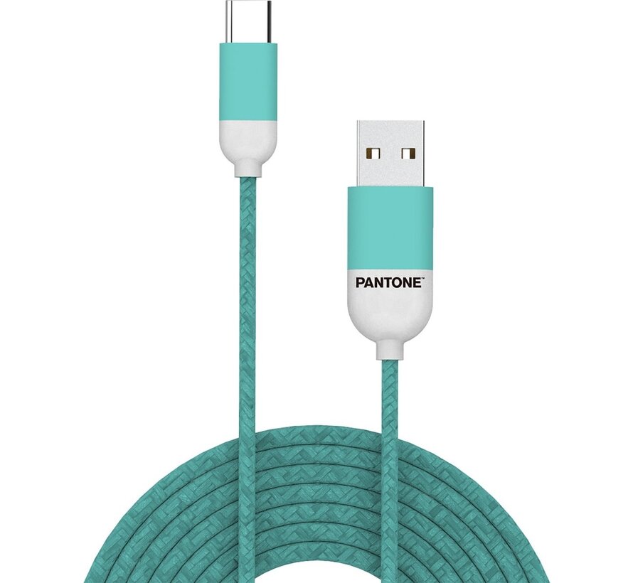 Celly Pantone Câble USB Type-C, 1,5 mètre, vert - Caoutchouc