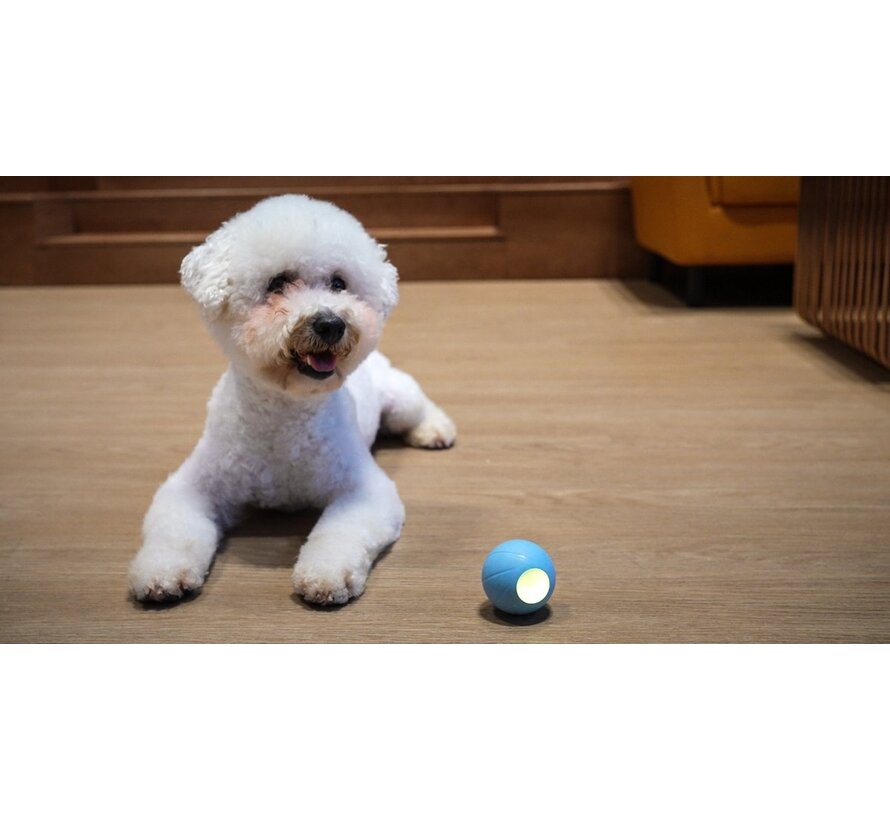 Cheerble Wicked ball 2.0 - Balle interactive intelligente pour petits chiens - 3 modes de jeu - jouet pour chien - jouets pour chien - rechargeable par USB - Bleu