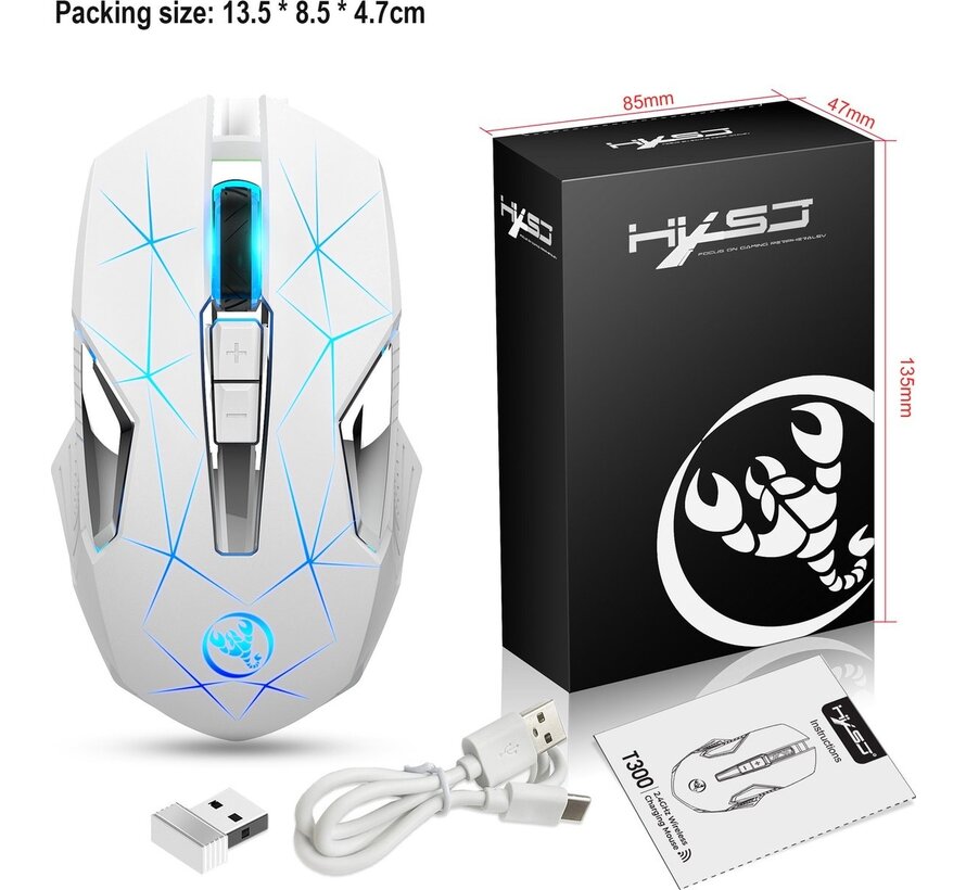 HXSJ T300 2.4G Wireless Gaming Mouse - Souris d'ordinateur - Ultra légère - Compacte pour les voyages - Eclairage RGB - Blanc