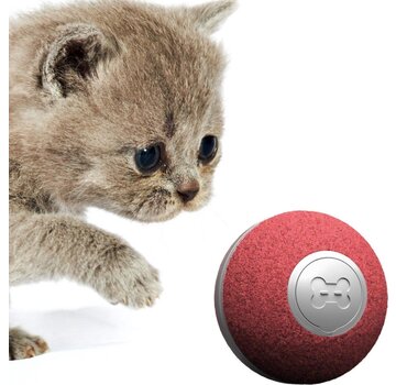 Cheerble Balle interactive intelligente à roulement automatique pour chats - Cheerble - Mini ball 2.0 - 3 modes de jeu - jouets pour chats - rechargeable par USB - Rouge