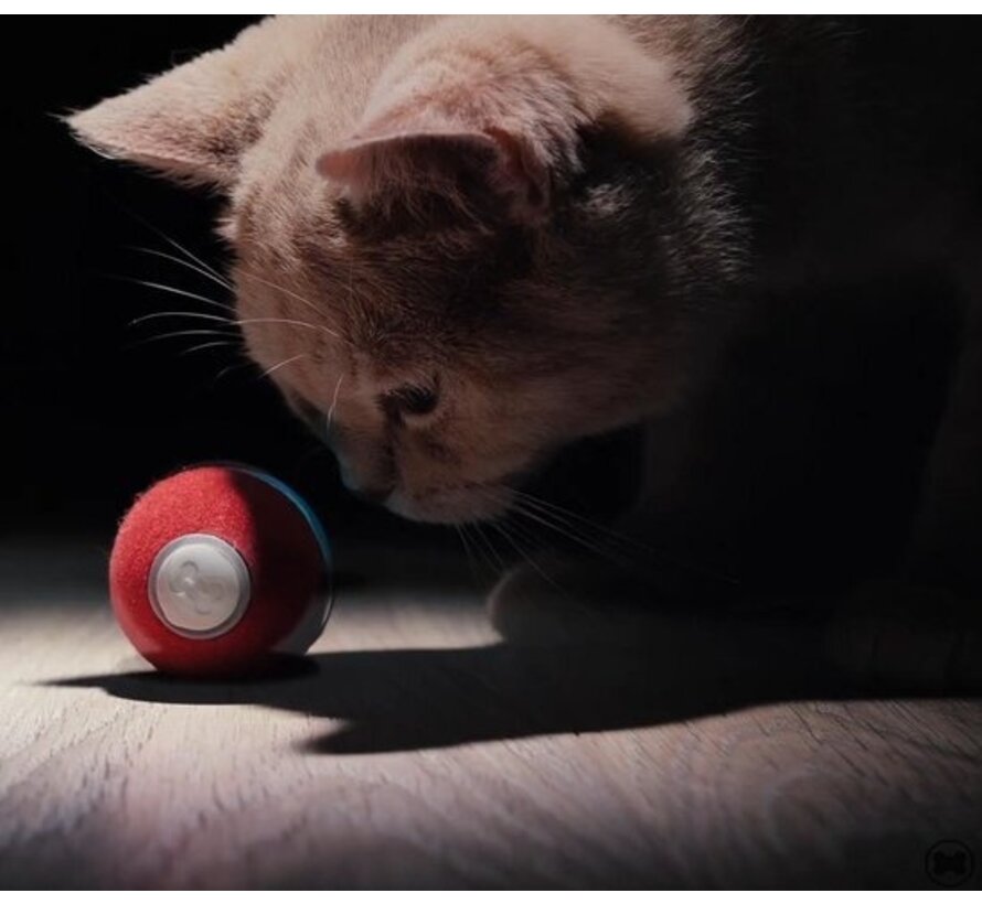 Cheerble mini ball 2.0 - Balle interactive intelligente à roulement automatique pour chats - 3 modes de jeu - jouets pour chats - rechargeable par USB - Rouge