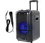 Denver Karaoke Set Incl. Microphone - Disco Lights - 200W - Partybox Bluetooth Speaker - 8 inch - AUX / USB / MicroSD / FM Radio - TSP-306 - Noir