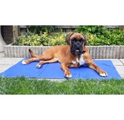 Trixie Trixie Cooling Mat Dog - Bleu - 110 x 70 cm