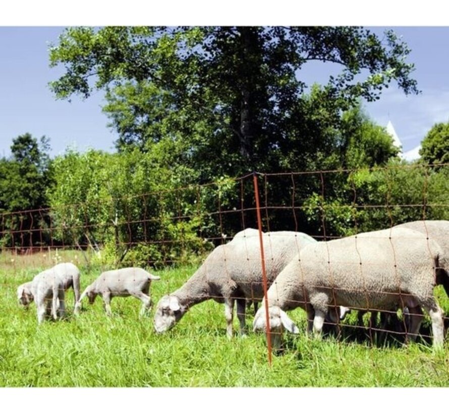 Filet à mouton - Excellent -neutre électrique - OviNet - 90 cm - Orange