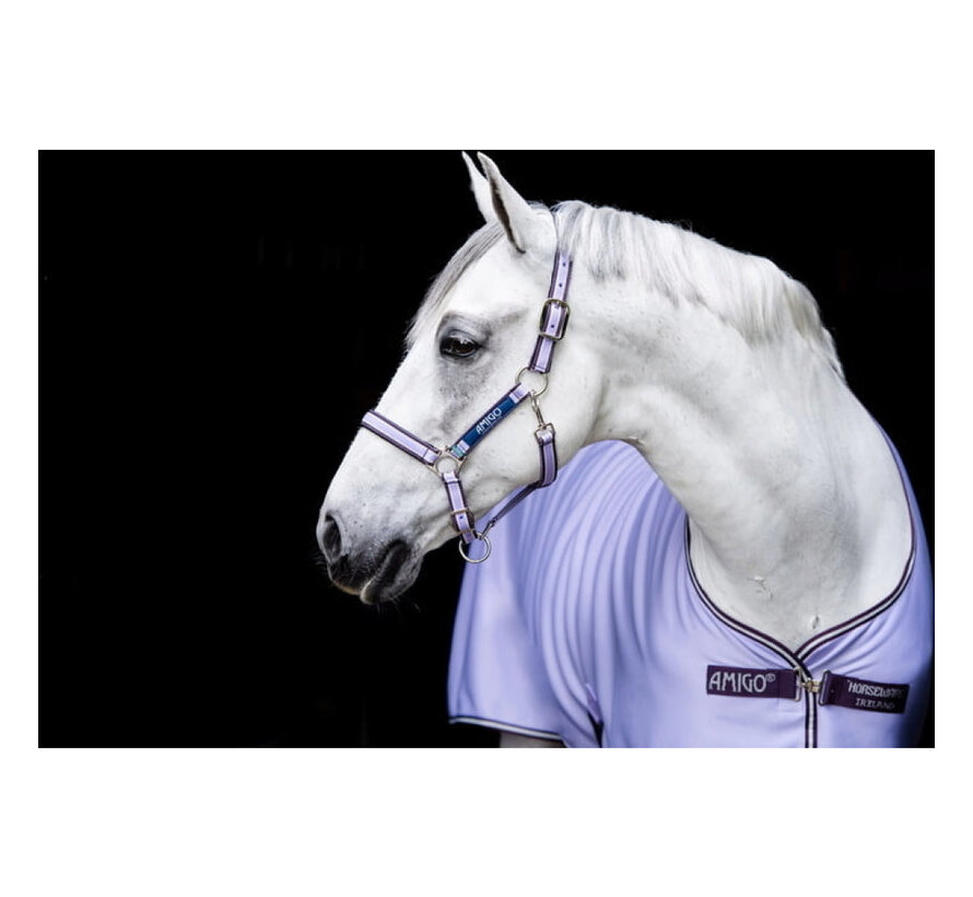 Horseware Amigo Jersey Cooler Purple 130 cm