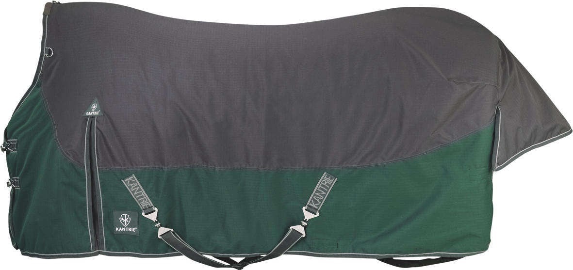 KANTRIE Tapis d'extérieur TX 135 cm Gris/Vert