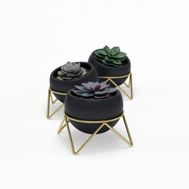 Umbra Potsy Plant Holder - 14x14x12cm - 3 pièces - Céramique Noir/Or