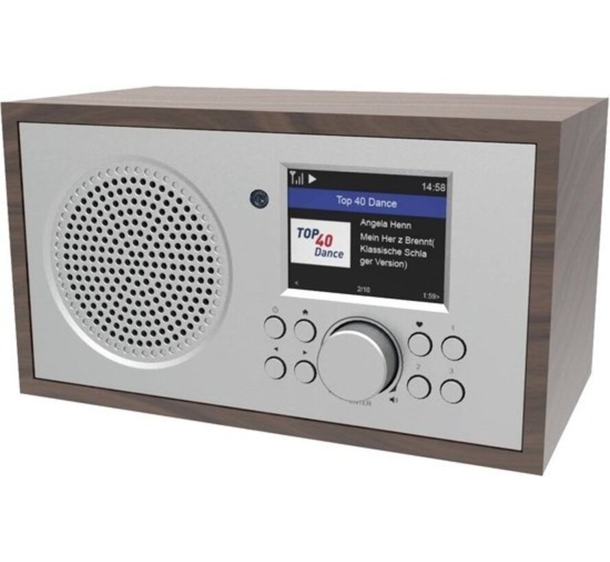 Denver IR-135 - Radio Internet - WiFi - Bluetooth - Minuteur de sommeil - Double réveil - Fonctionne sur piles - Argent