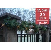 STAR TRADING Guirlande en pin avec LED, pour l'extérieur, 2,5m, blanc chaud LED s