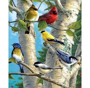 Rubye® Rubye® Peinture au diamant - Peinture au diamant adultes - Peinture au diamant enfants - Peinture au diamant paquet complet - Oiseaux colorés - 40x50cm