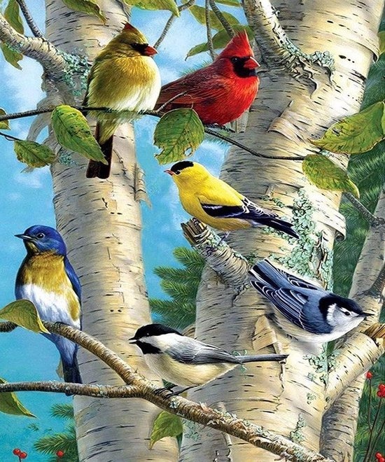 Rubye® Peinture au diamant - Peinture au diamant adultes - Peinture au diamant enfants - Peinture au diamant paquet complet - Oiseaux colorés - 40x50cm