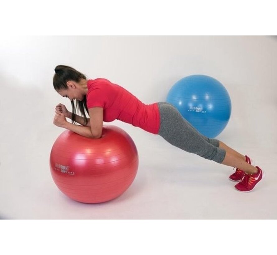 Christopeit - Ballon de gymnastique 65cm avec pompe - Rouge