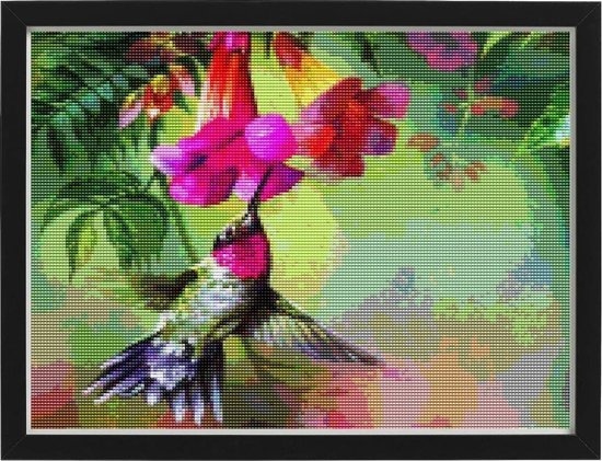 Rubye® Peinture au diamant adultes - Peinture au diamant enfants - Peinture au diamant paquet complet - Colibris colorés - 30x30cm