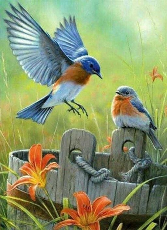 Rubye® Peinture au diamant adultes - Peinture au diamant enfants - Peinture au diamant paquet complet - Oiseaux et fleurs - 40x50cm