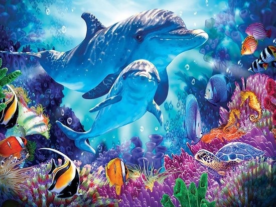 Rubye® Peinture au diamant adultes - Peinture au diamant enfants - Dauphins colorés - 30x40cm