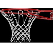 Spalding Anneau de basket-ball Spalding Pro Slam Hoop