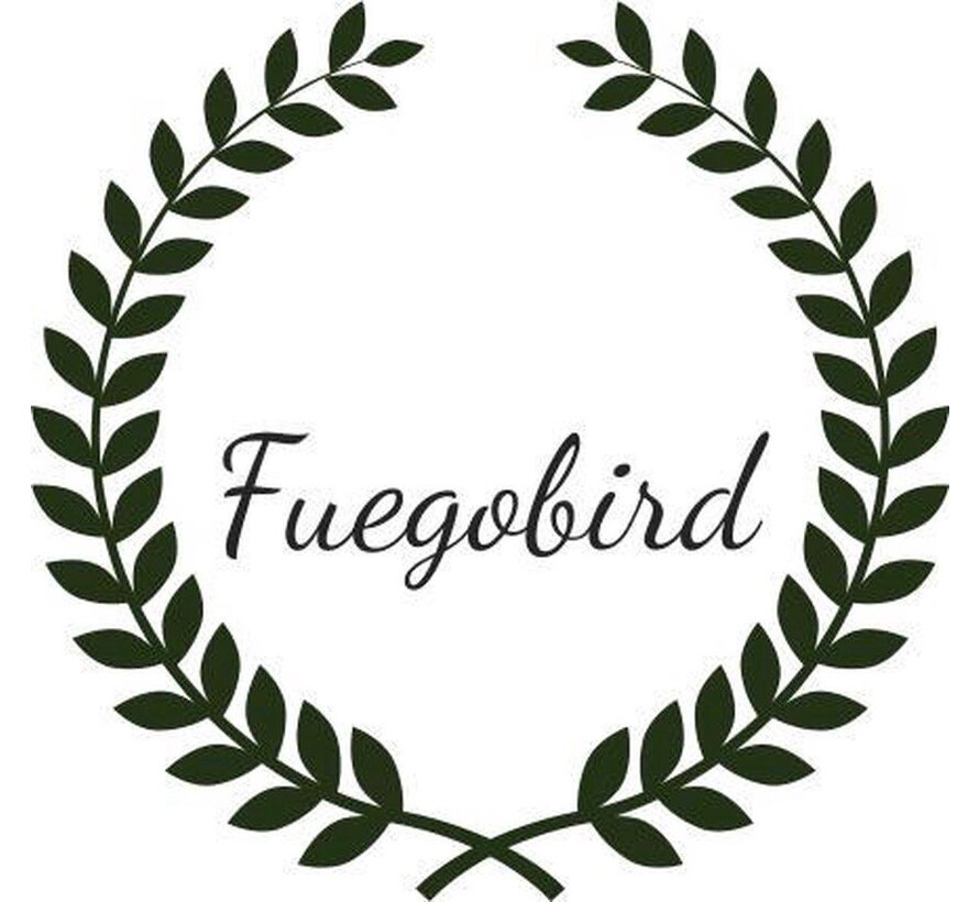 Fuegobird EK009 Lampe de bureau LED - Filaire - Chargement sans fil pour téléphone - Dimmable - Pliable - Smart Touch - Technologie Qi - Noir