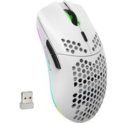 HxSJ HXSJ T66 2.4G Wireless Gaming Mouse - Souris d'ordinateur - Ultra légère - Compacte pour les voyages - Eclairage RGB - Blanc