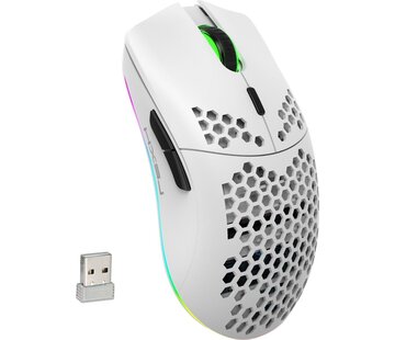 HxSJ HXSJ T66 2.4G Wireless Gaming Mouse - Souris d'ordinateur - Ultra légère - Compacte pour les voyages - Eclairage RGB - Blanc