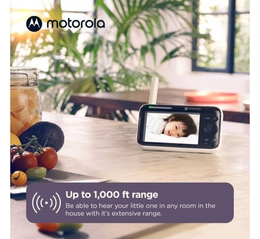 Motorola Nursery PIP1610 HD Connected - Babyphone Wifi avec caméra et surveillance 24/7 Full HD avec application - Vision nocturne, contrôle à distance, température
