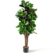 Coast Figuier artificiel Coast 1.5 m plantes artificielles Decipper Lance Houseplant avec pot de fleurs