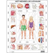 Puzzle Larsen Maxi Human Body Junior - carton - 35 pièces