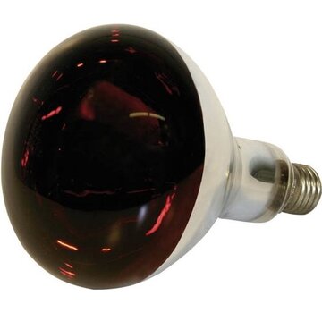 Kerbl Lampe chauffante infrarouge en verre trempé 250W