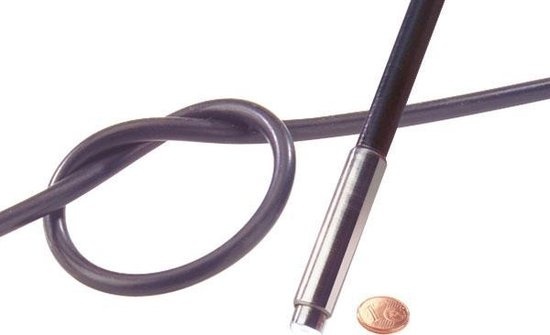 Endoscope avec tube caméra 5.5mm
