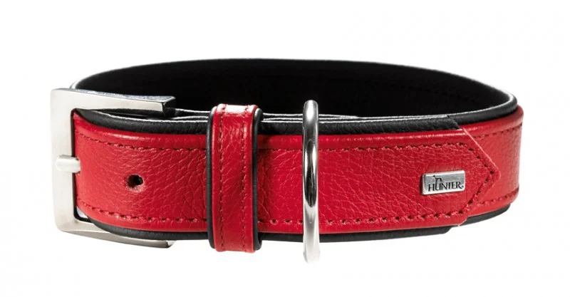 Collier Hunter Capri 35, rouge 24-30cm x 1.8cm