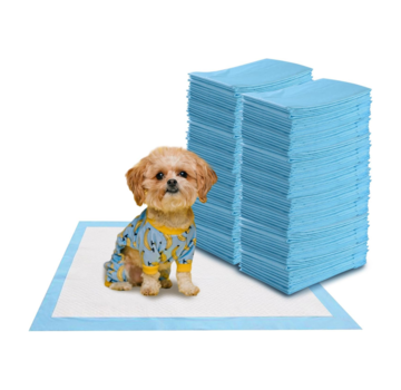 Coast Tapis d'entraînement pour chiens Tapis anti-fuites à 5 couches jetables PIPI Pads (100 pièces 60 x 60 cm)