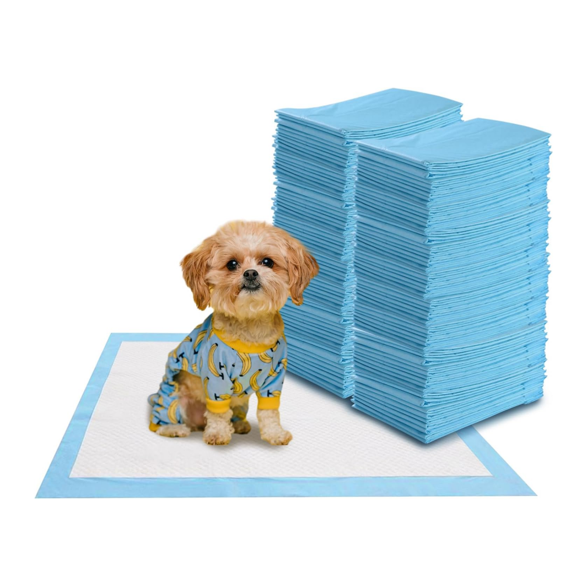 Tapis d'entraînement pour chiens Tapis anti-fuites à 5 couches jetables PIPI Pads (100 pièces 60 x 60 cm)