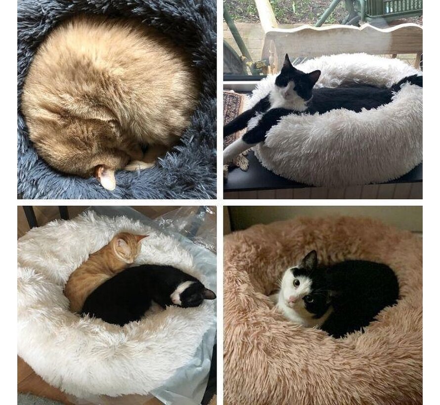 Panier pour chat Snoozle - Panier pour chat doux et luxueux - Panier pour chat rond - Lavable - 60cm - Gris clair
