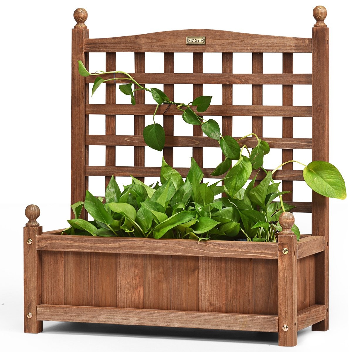 Coast Garden Jardinière en bois massif avec treillis 64.5 x 28 x 75 cm brun foncé