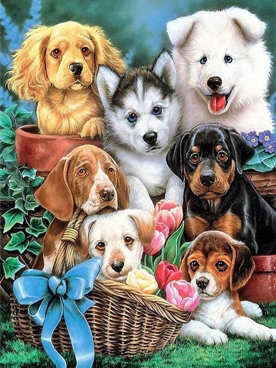 Rubye® Peinture au diamant adultes - Peinture au diamant enfants - Chiots mignons - 30x40cm